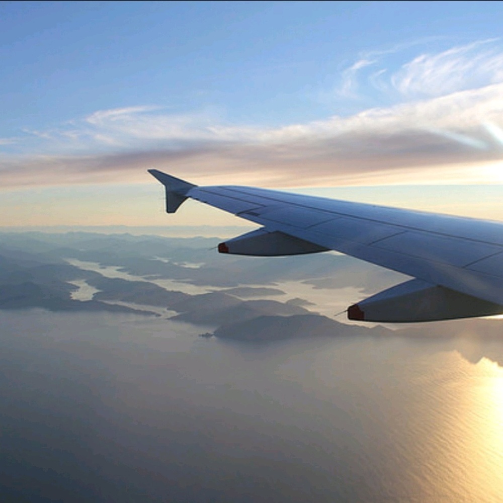 Meet your Posher, Ella